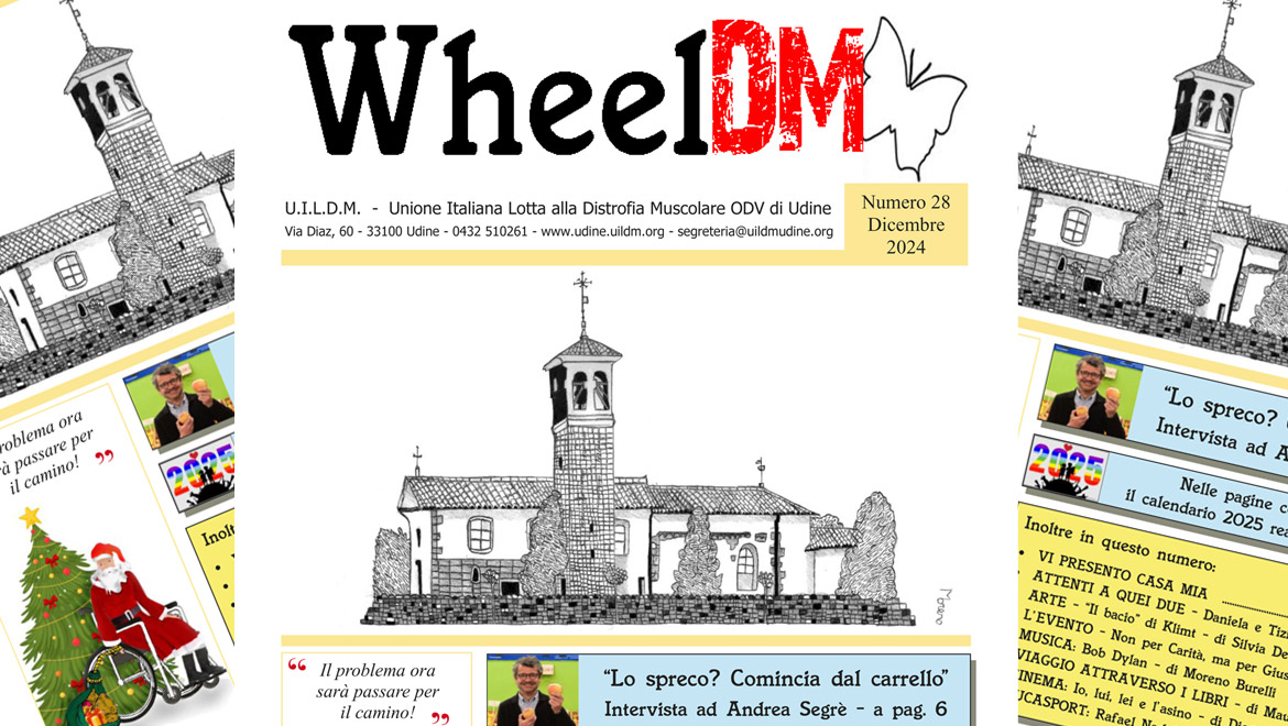 WheelDM n.28