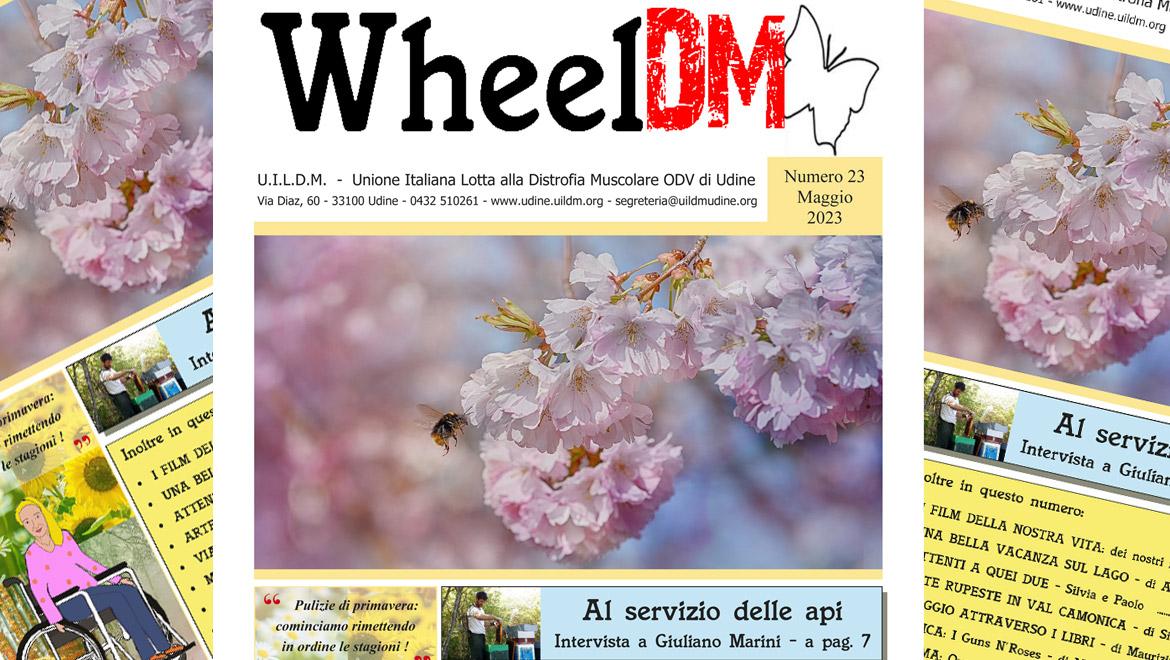 WheelDM n.23