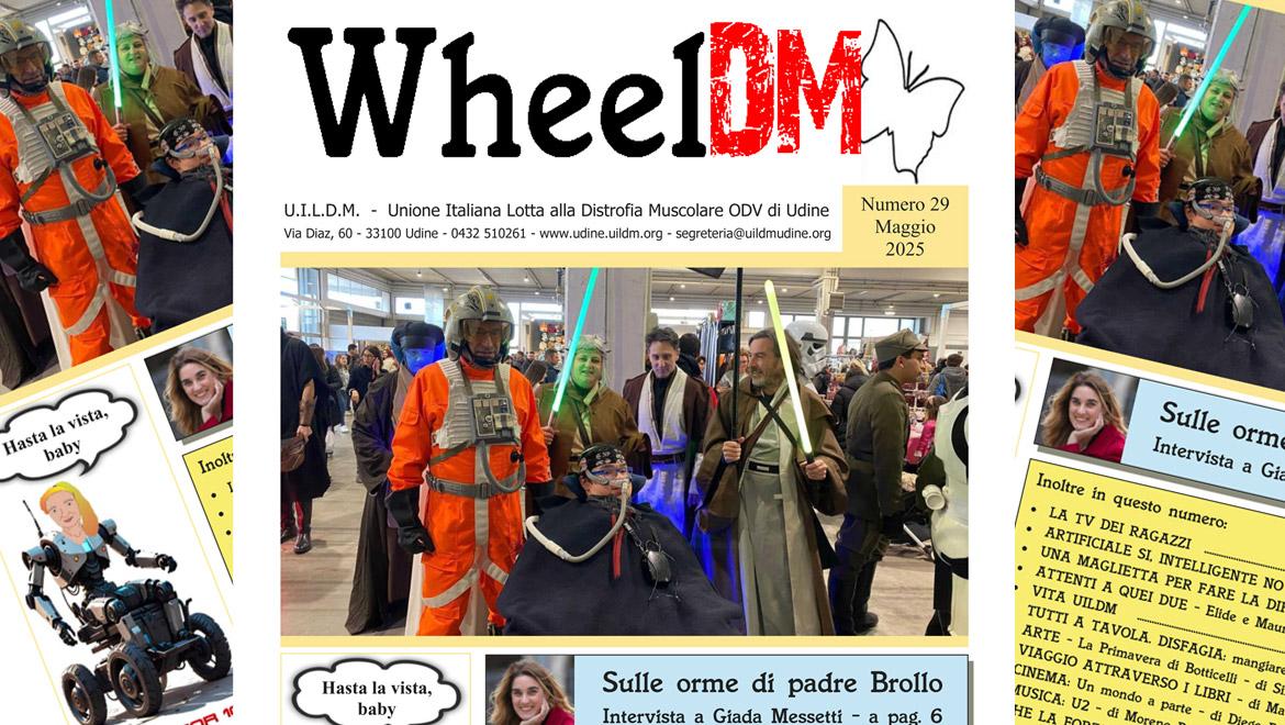 WheelDM n.29