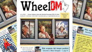 WheelDM n.24