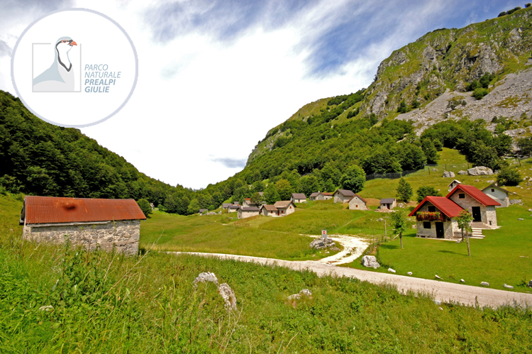 03 News Locali_Parco Prealpi