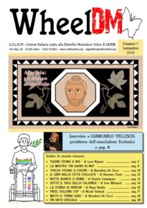 WheelDM 5