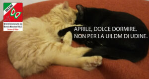 2017_UILDMUD_Aprile-dolce-dormire-745x396