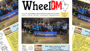 WheelDm n.11