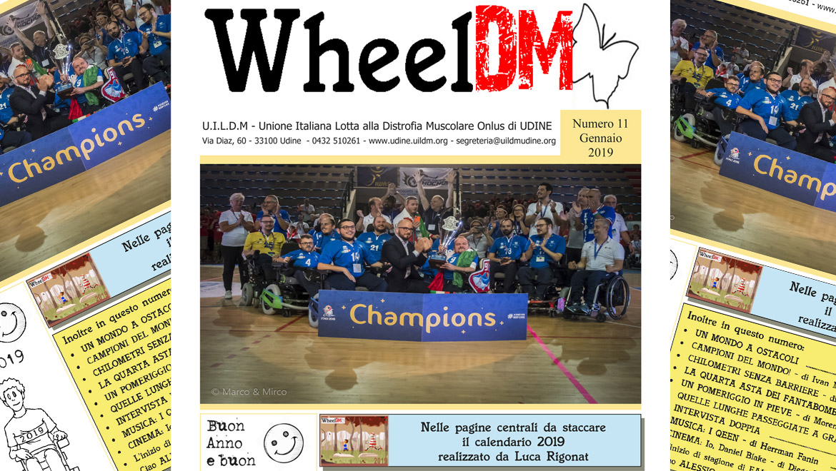 WheelDm n.11
