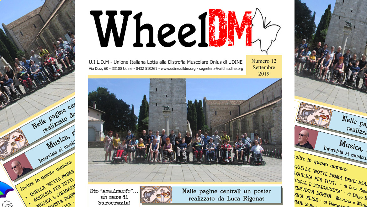 WheelDM n.12