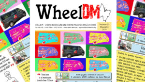 WheelDM n.13