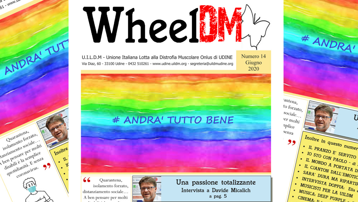 WheelDM 14