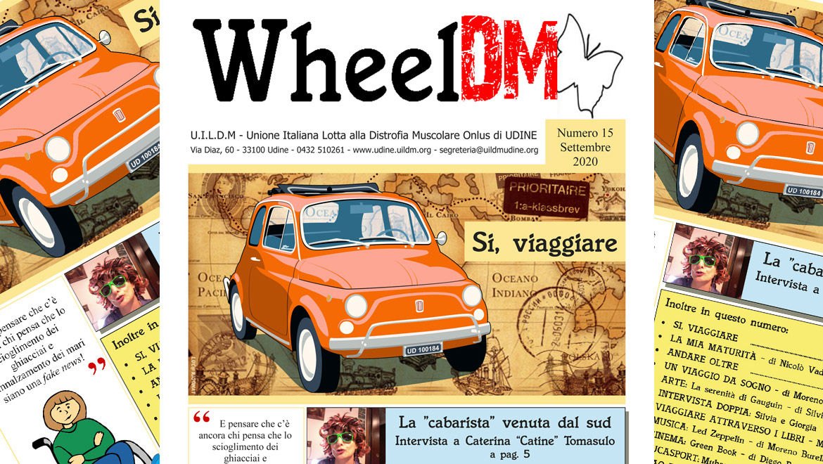 WheelDM 15