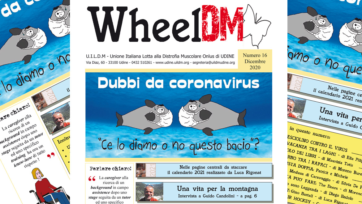 WheelDM 16
