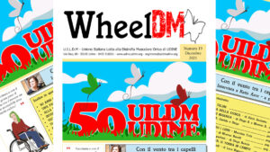 WheelDM n.19