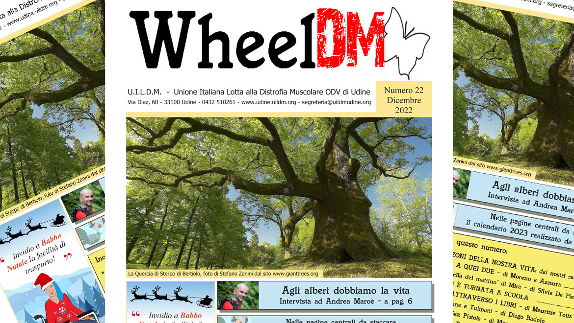 WheelDM n.22