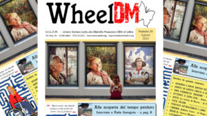 WheelDM n.24