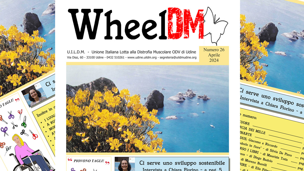 WheelDM n.26