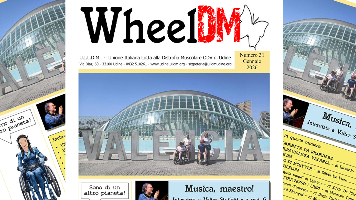Copertina WheelDM 31